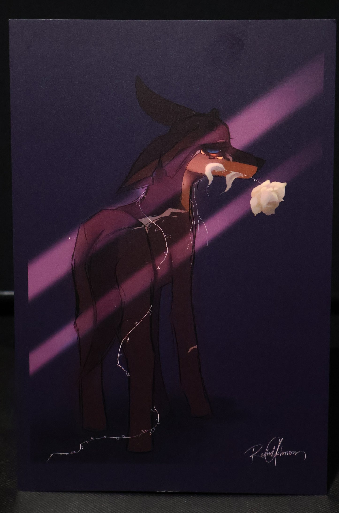 White Rose Art Print