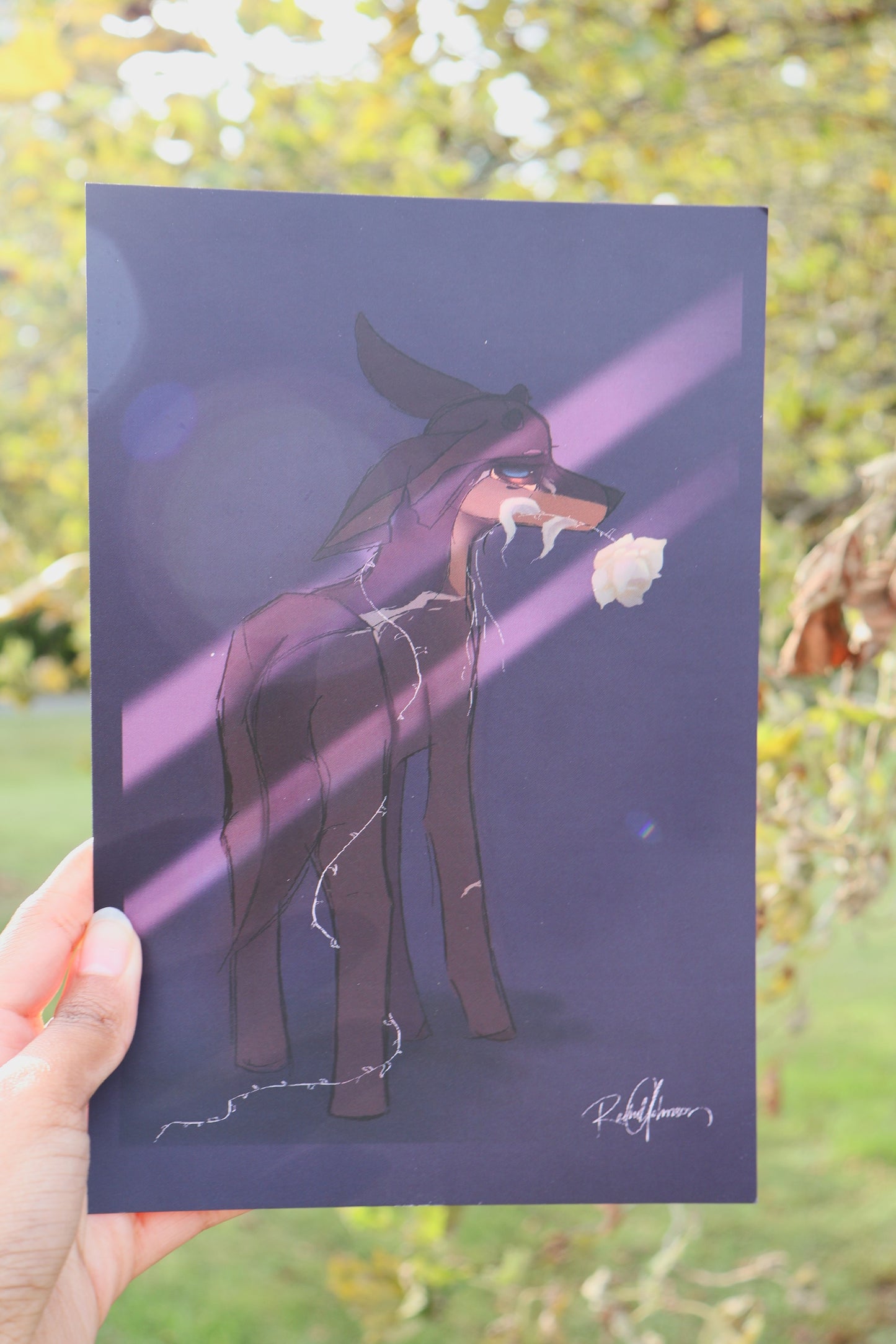 White Rose Art Print